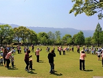 04.jpg